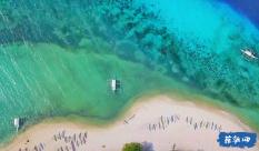 海底世界填颜色3