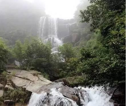 巫师之徒